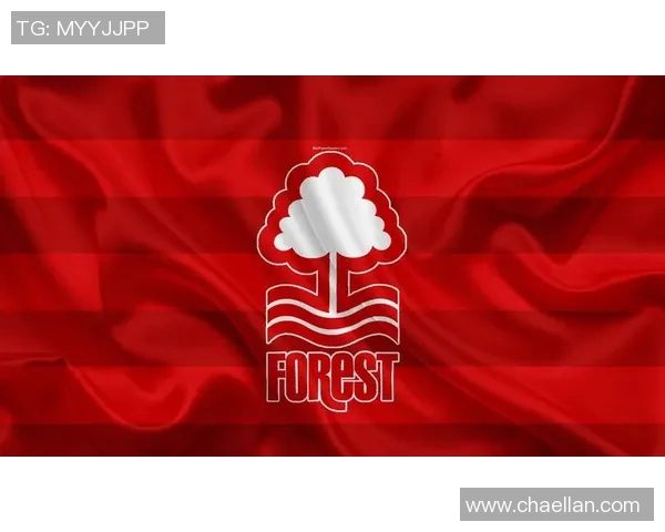 布里斯托与诺丁汉森林的精彩对决谁能在英Championship中笑到最后