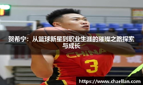 贺希宁：从篮球新星到职业生涯的璀璨之路探索与成长