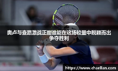 奥卢与查路激战正酣谁能在这场较量中脱颖而出争夺胜利